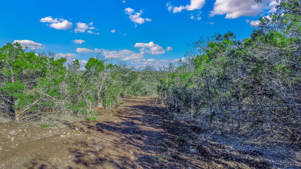 3 Gillespie Ridge Drive, Unit 3 Mountain Home, TX 78058 - Photo 18 of 21