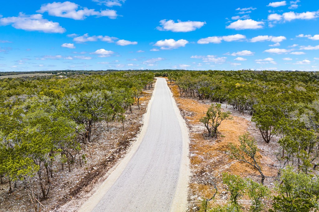 3 Gillespie Ridge Drive, Unit 3 Mountain Home, TX 78058 - Photo 3 of 21