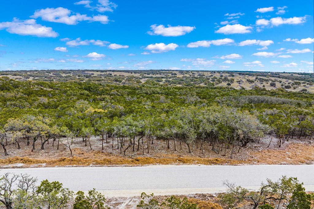 3 Gillespie Ridge Drive, Unit 3 Mountain Home, TX 78058 - Photo 4 of 21