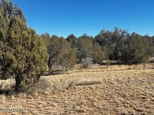 $6,450 | 32372 Ancho Road, Seligman, AZ 86337