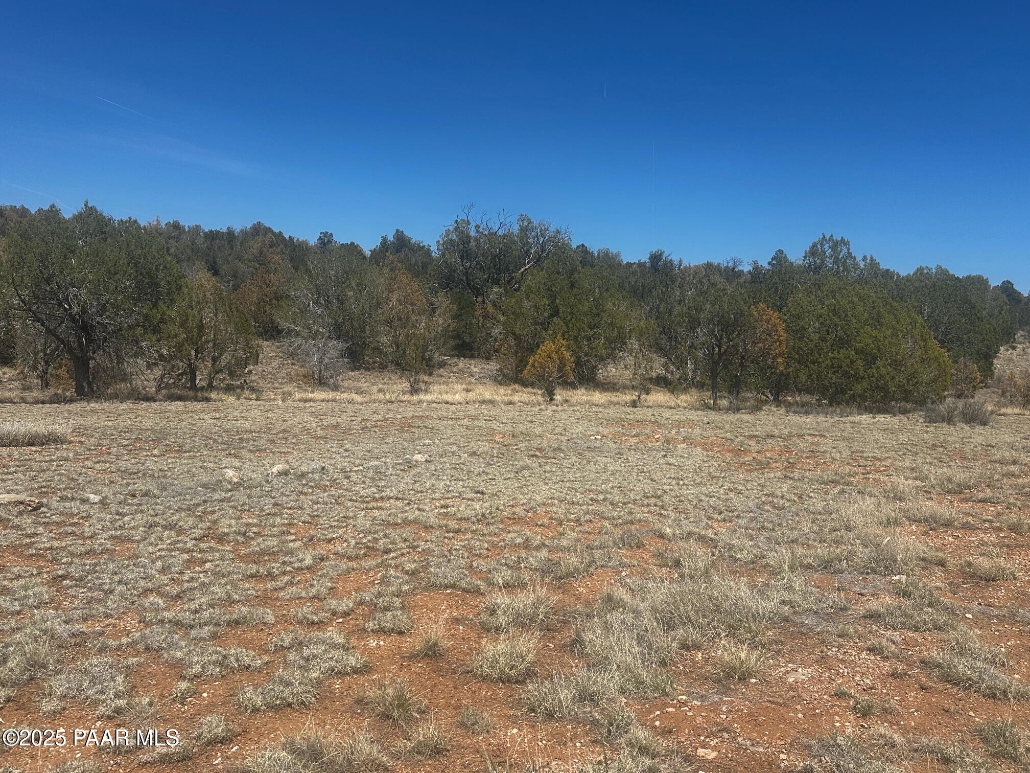 32372 Ancho Road Seligman, AZ 86337 - Photo 12 of 17 IMG_8898