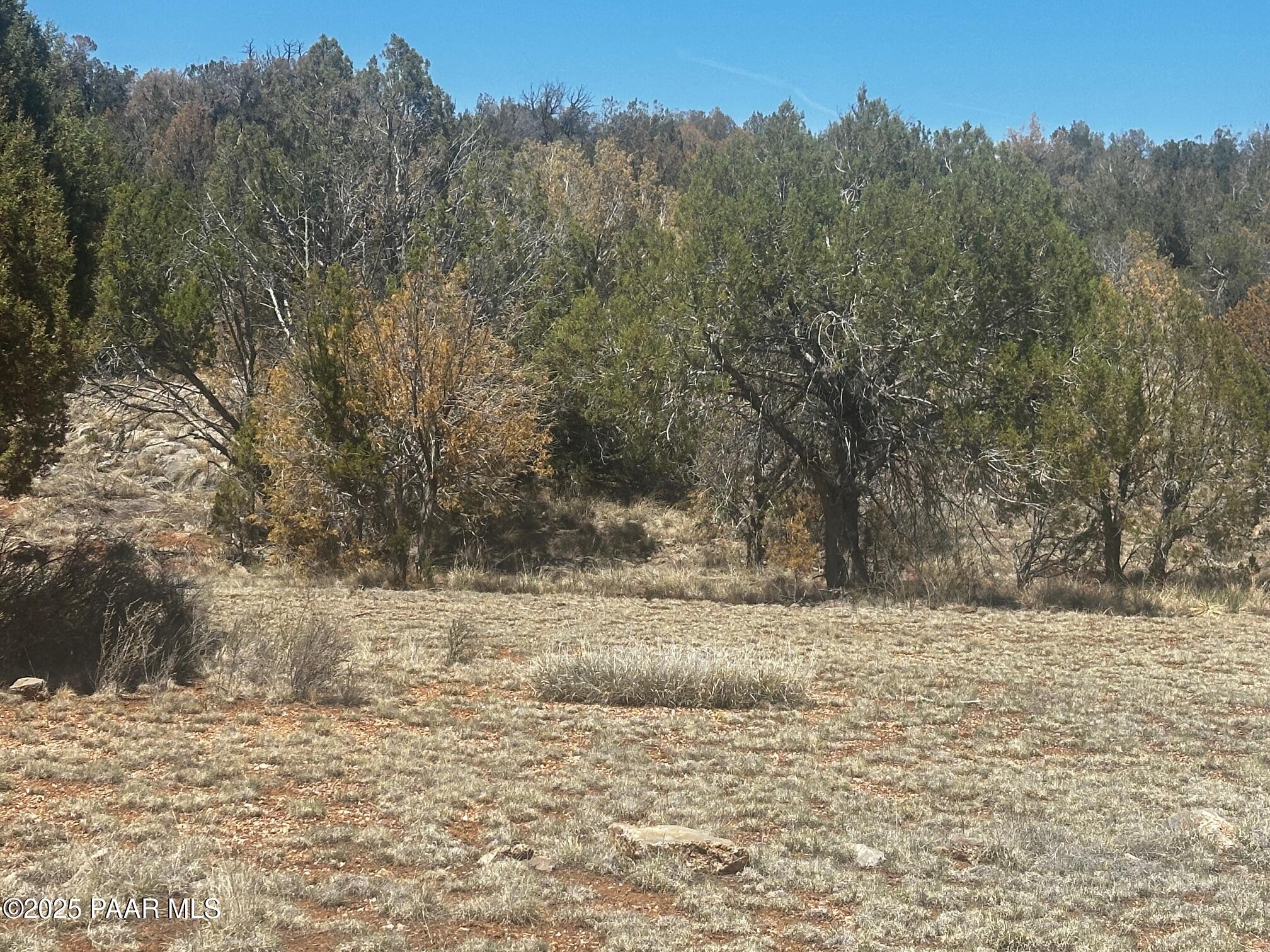 32372 Ancho Road Seligman, AZ 86337 - Photo 13 of 17 IMG_8899