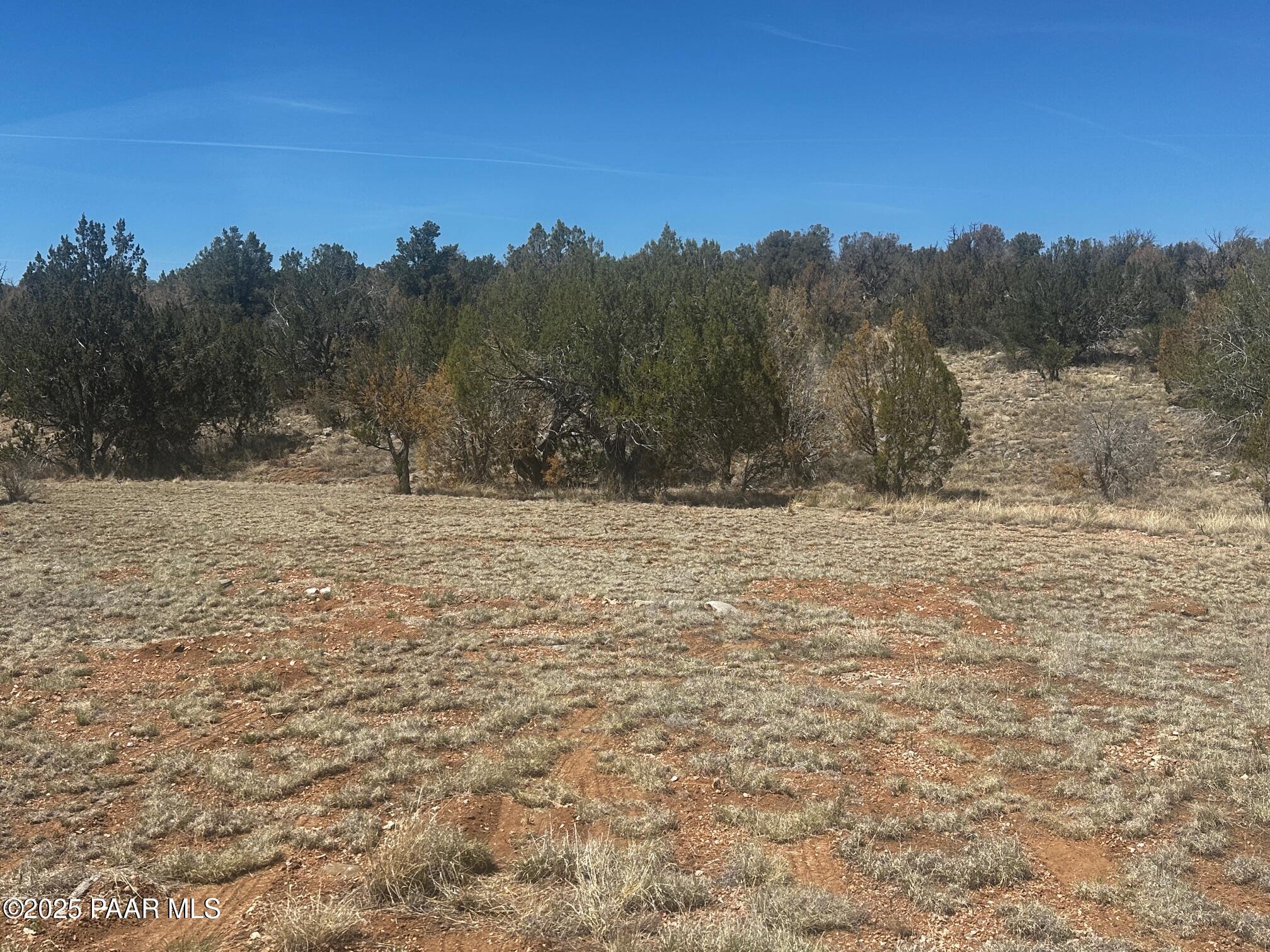 32372 Ancho Road Seligman, AZ 86337 - Photo 14 of 17 IMG_8900