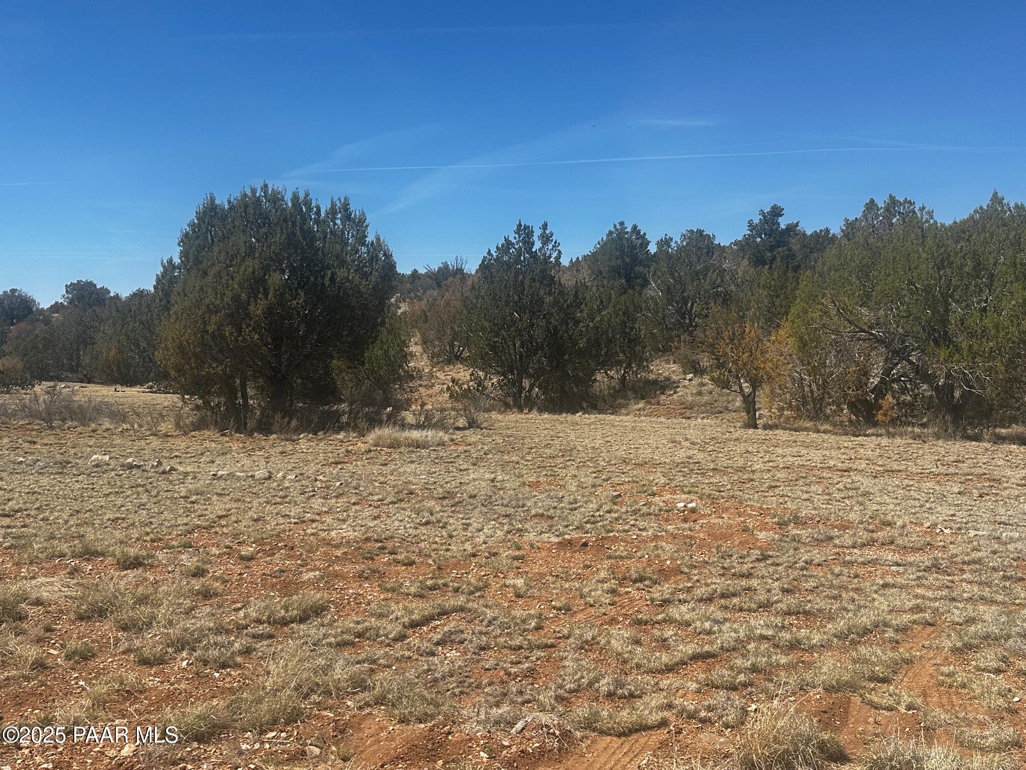32372 Ancho Road Seligman, AZ 86337 - Photo 15 of 17 IMG_8901