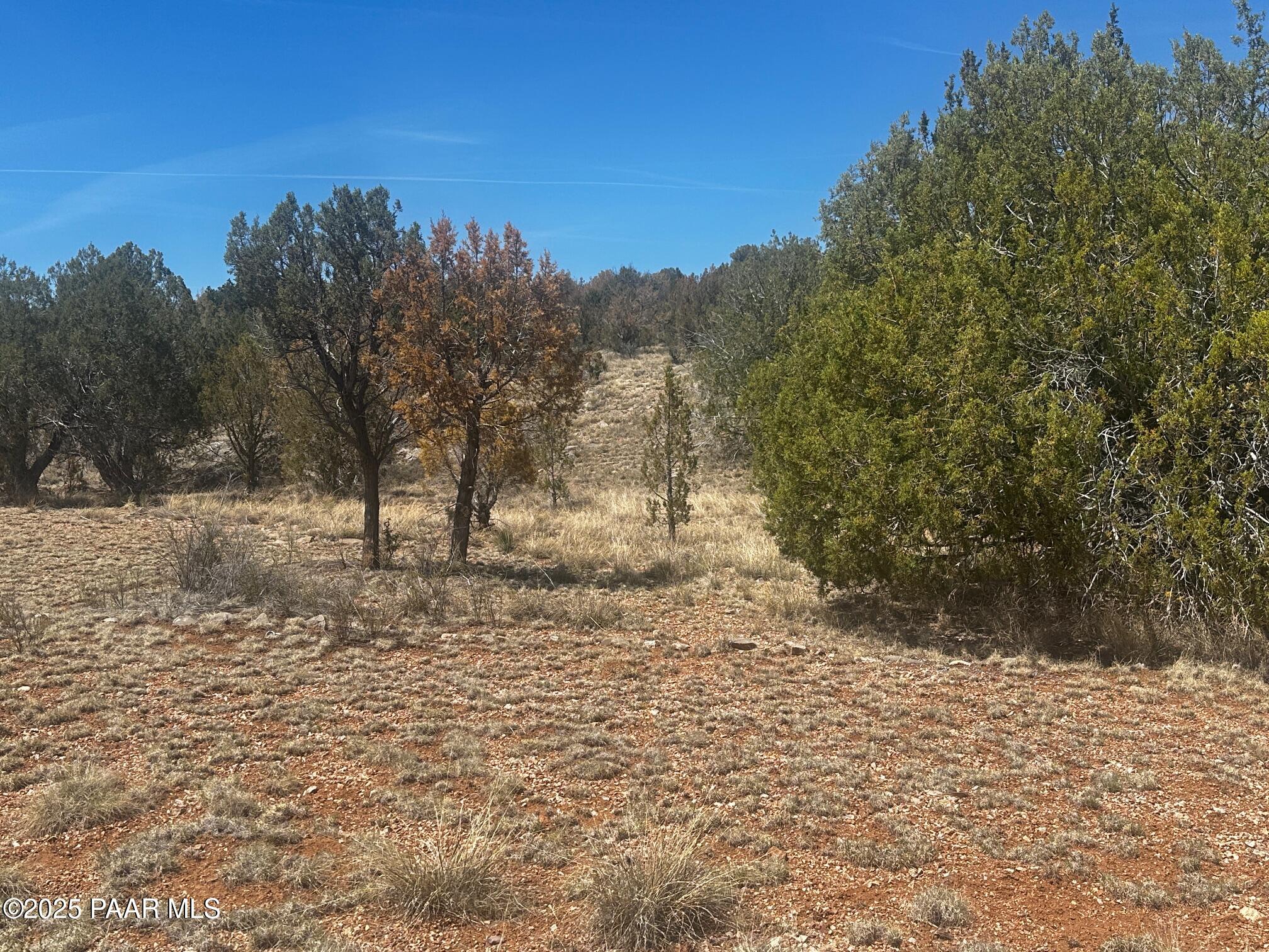 32372 Ancho Road Seligman, AZ 86337 - Photo 16 of 17 IMG_8902
