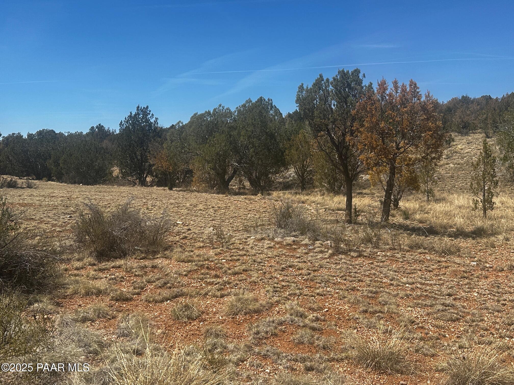 32372 Ancho Road Seligman, AZ 86337 - Photo 17 of 17 IMG_8903