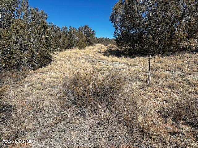 32372 Ancho Road Seligman, AZ 86337 - Photo 2 of 17 IMG_8394