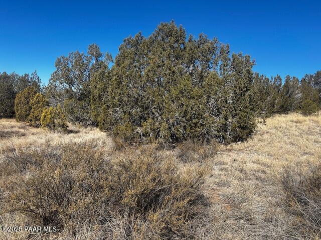32372 Ancho Road Seligman, AZ 86337 - Photo 3 of 17 IMG_8395