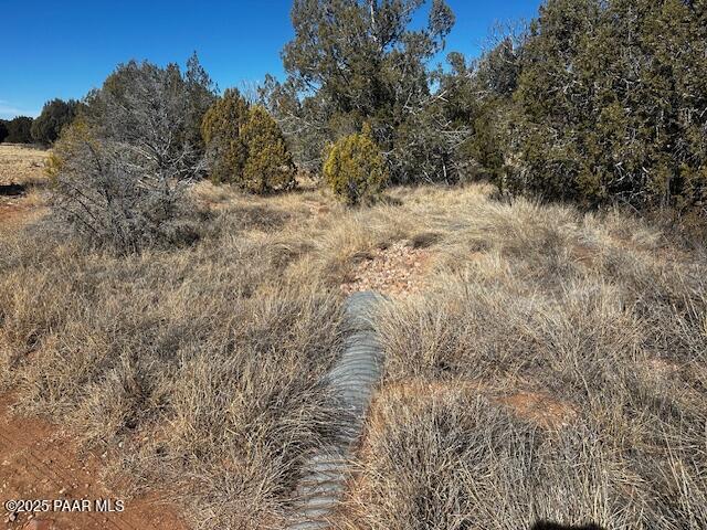 32372 Ancho Road Seligman, AZ 86337 - Photo 4 of 17 IMG_8396