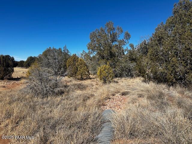 32372 Ancho Road Seligman, AZ 86337 - Photo 5 of 17 IMG_8397