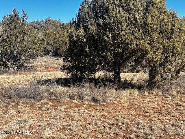 32372 Ancho Road Seligman, AZ 86337 - Photo 7 of 17 IMG_8399