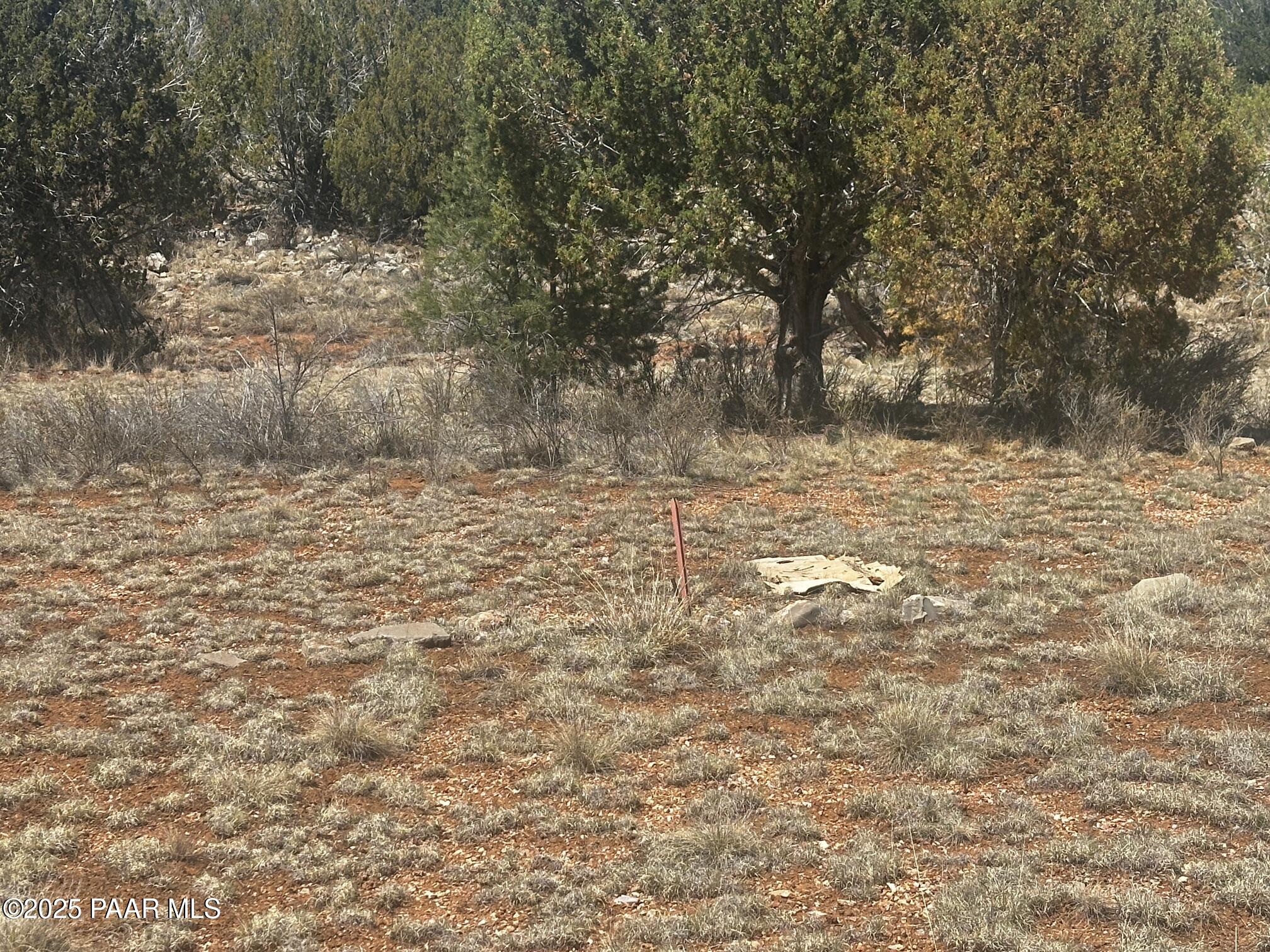 32372 Ancho Road Seligman, AZ 86337 - Photo 9 of 17 IMG_8895