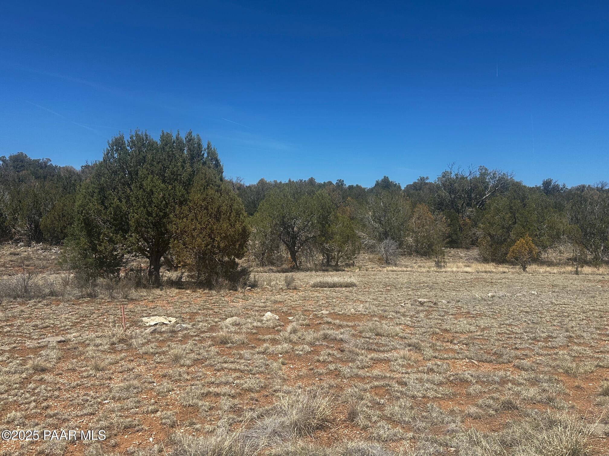 32372 Ancho Road Seligman, AZ 86337 - Photo 10 of 17 IMG_8896
