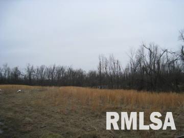 Tbd Unionville Road Brookport, IL 62910 - Photo 1 of 7 Gallery Image 1