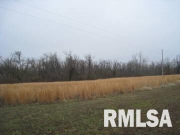 Tbd Unionville Road Brookport, IL 62910 - Photo 4 of 7 Gallery Image 4