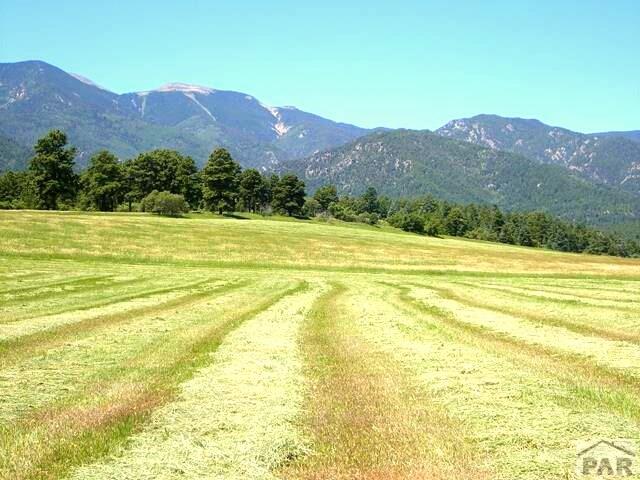 8387 Cuerna Verde Road Rye, CO 81069 - Photo 1 of 1