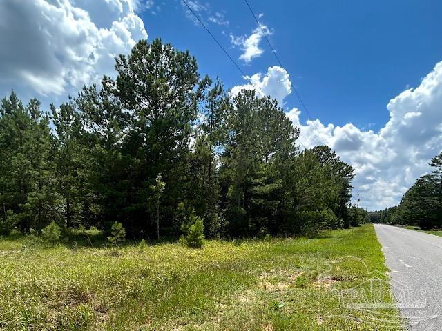 Tbd Permenter Road Milton, FL 32583 - Photo 2 of 4