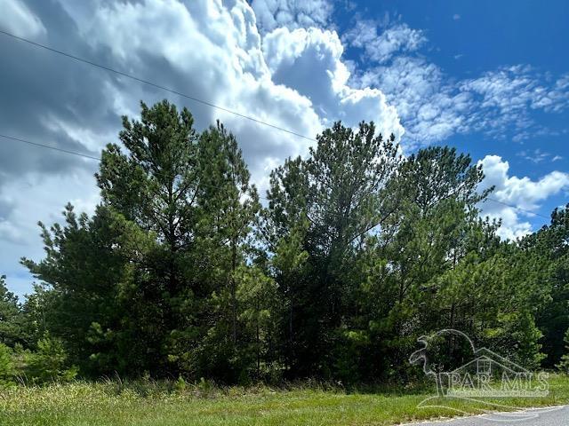 Tbd Permenter Road Milton, FL 32583 - Photo 3 of 4