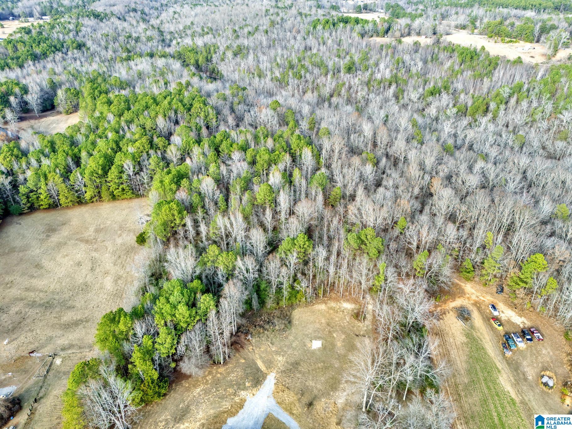 1707 Lazy Y Road Hayden, AL 35079 - Photo 36 of 46