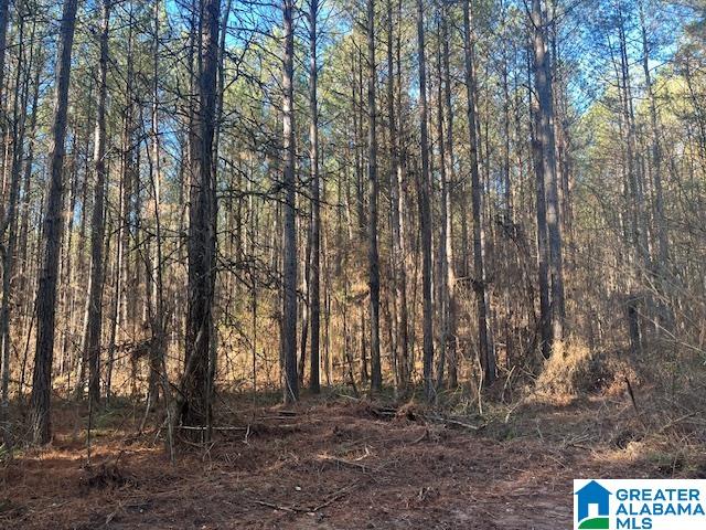 Lambert Road, Unit 56 Cragford, AL 36255 - Photo 2 of 6 Gallery Image 2