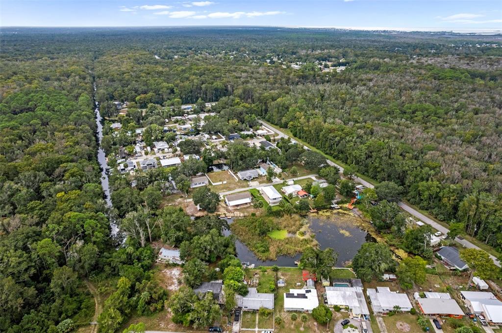 6421 Finance Avenue Weeki Wachee, FL 34607 - Photo 6 of 38