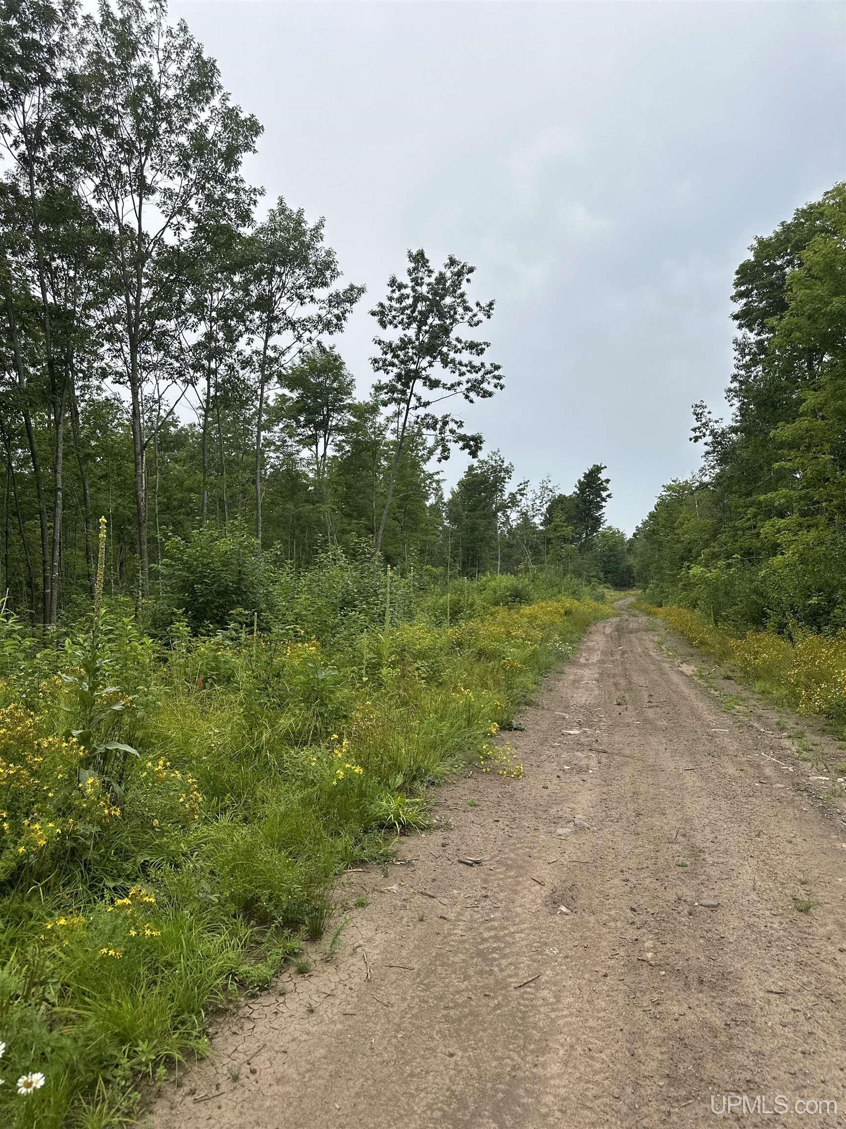 Tbd Co Rd 496 (b) Road, Unit PARCEL B Champion, MI 49814 - Photo 10 of 33