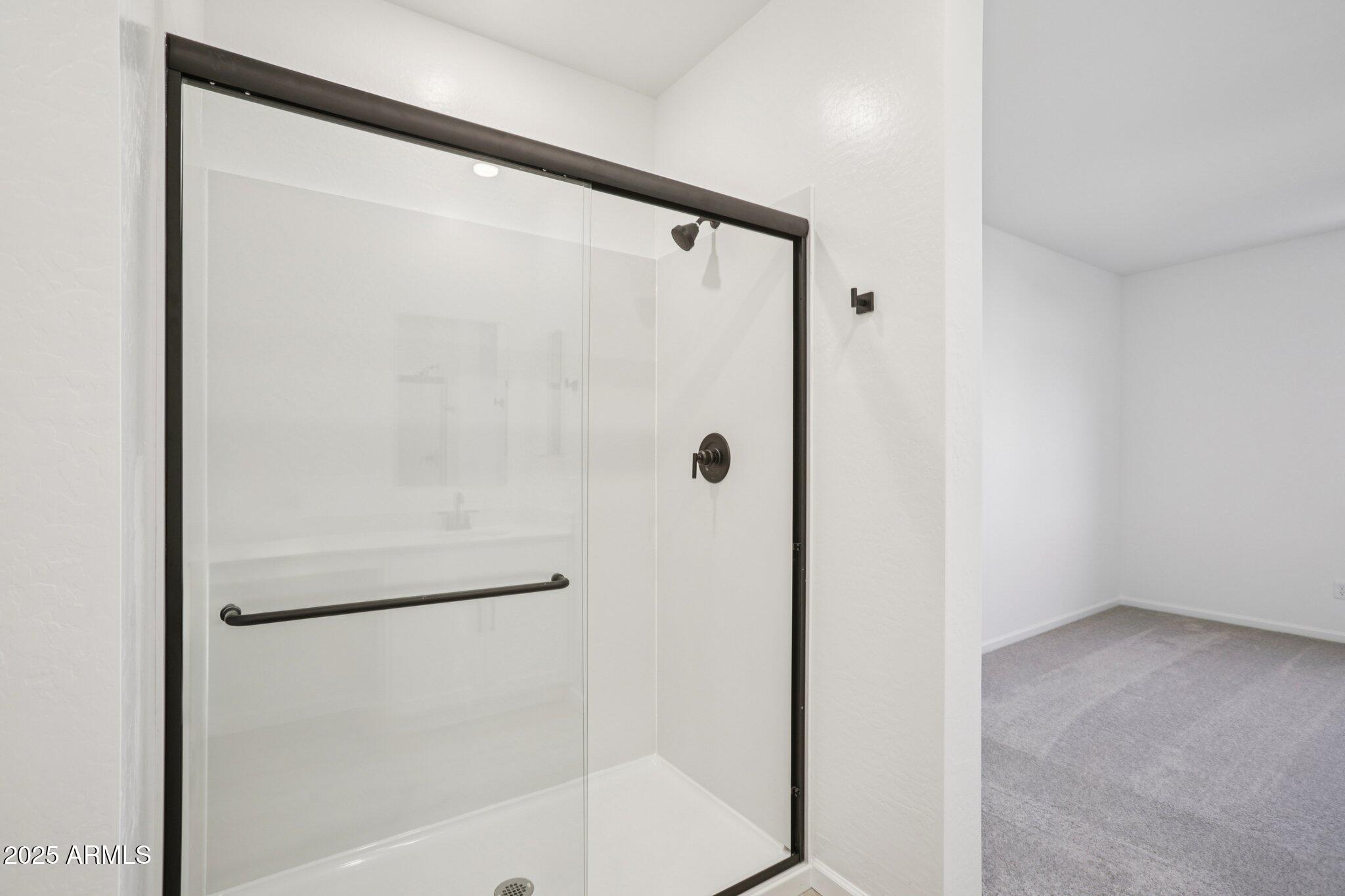 16226 West Bajada Road Surprise, AZ 85387 - Photo 29 of 45 a bathroom with a glass shower door