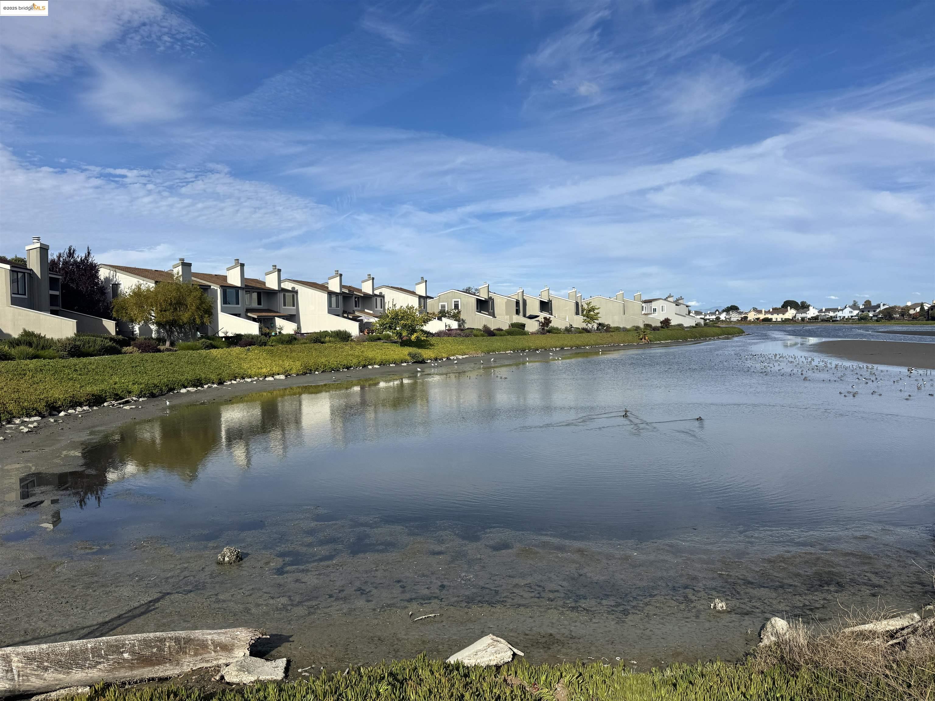 3365 Los Prados Street San Mateo, CA 94403 - Photo 45 of 47 a view of a lake with houses