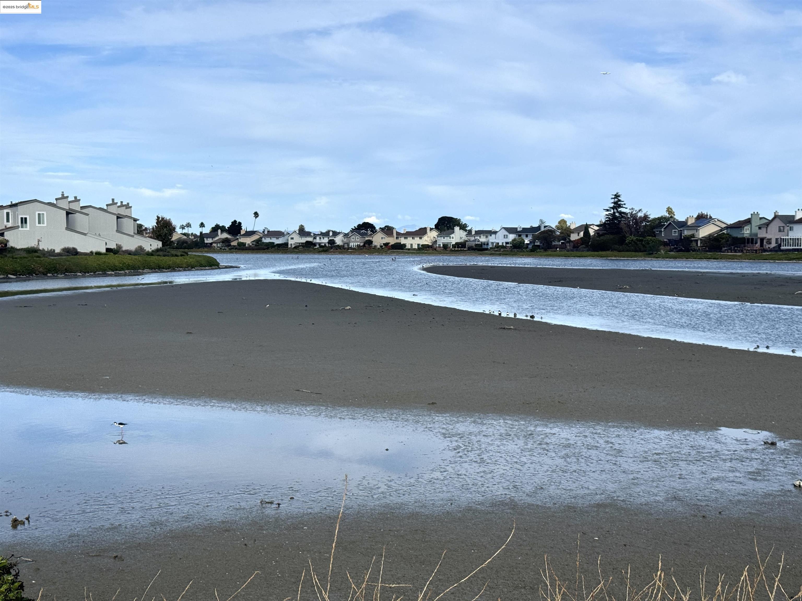 3365 Los Prados Street San Mateo, CA 94403 - Photo 47 of 47 a view of lake