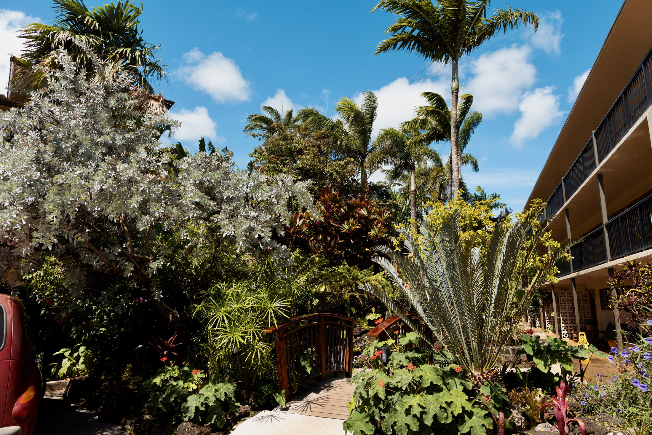 5061 Lawai Road, Unit 207 Koloa, HI 96756 - Photo 24 of 25 a plant that is in a garden