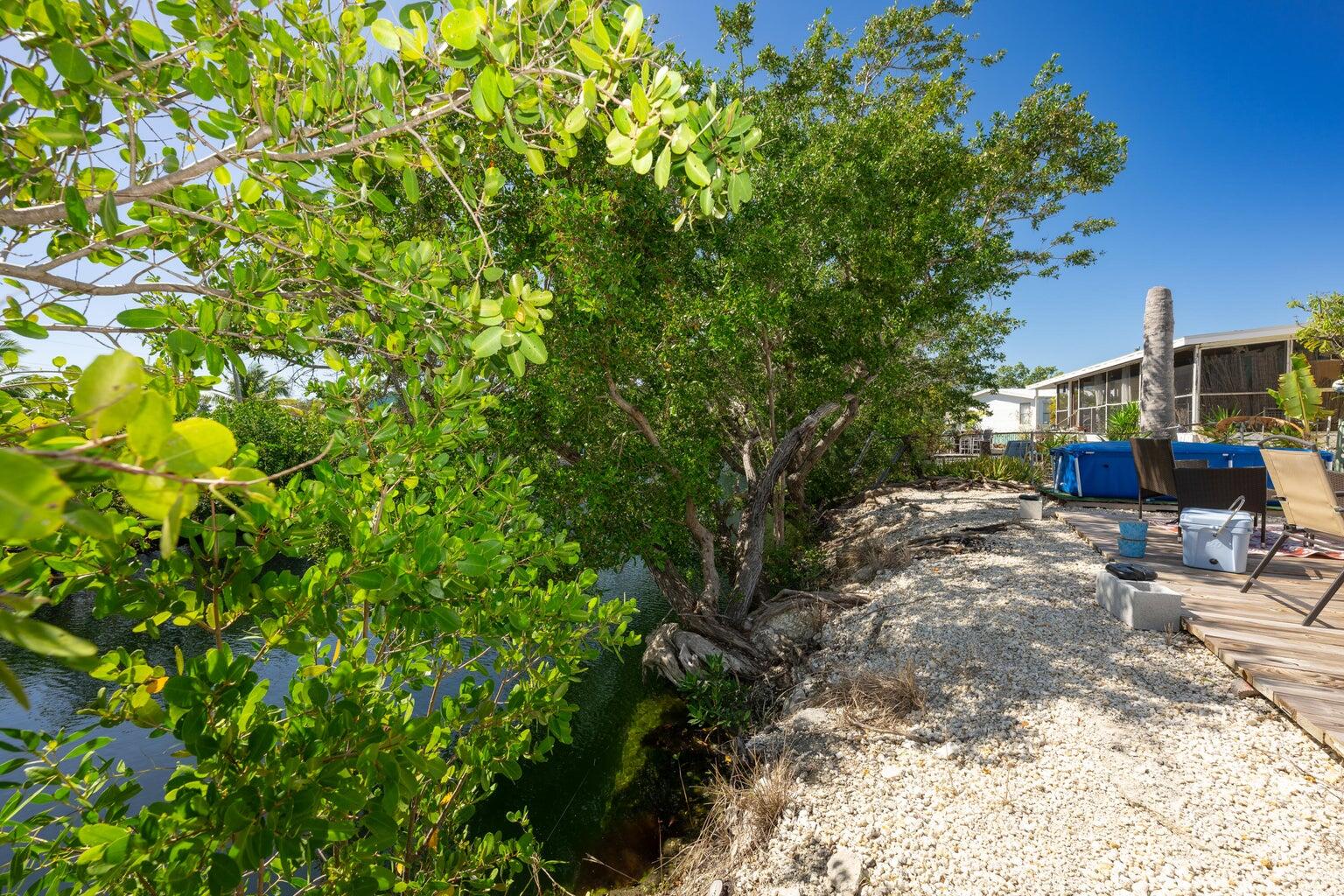 27942 Snapper Lane Summerland Key, FL 33042 - Photo 6 of 26 a view of a yard with plants