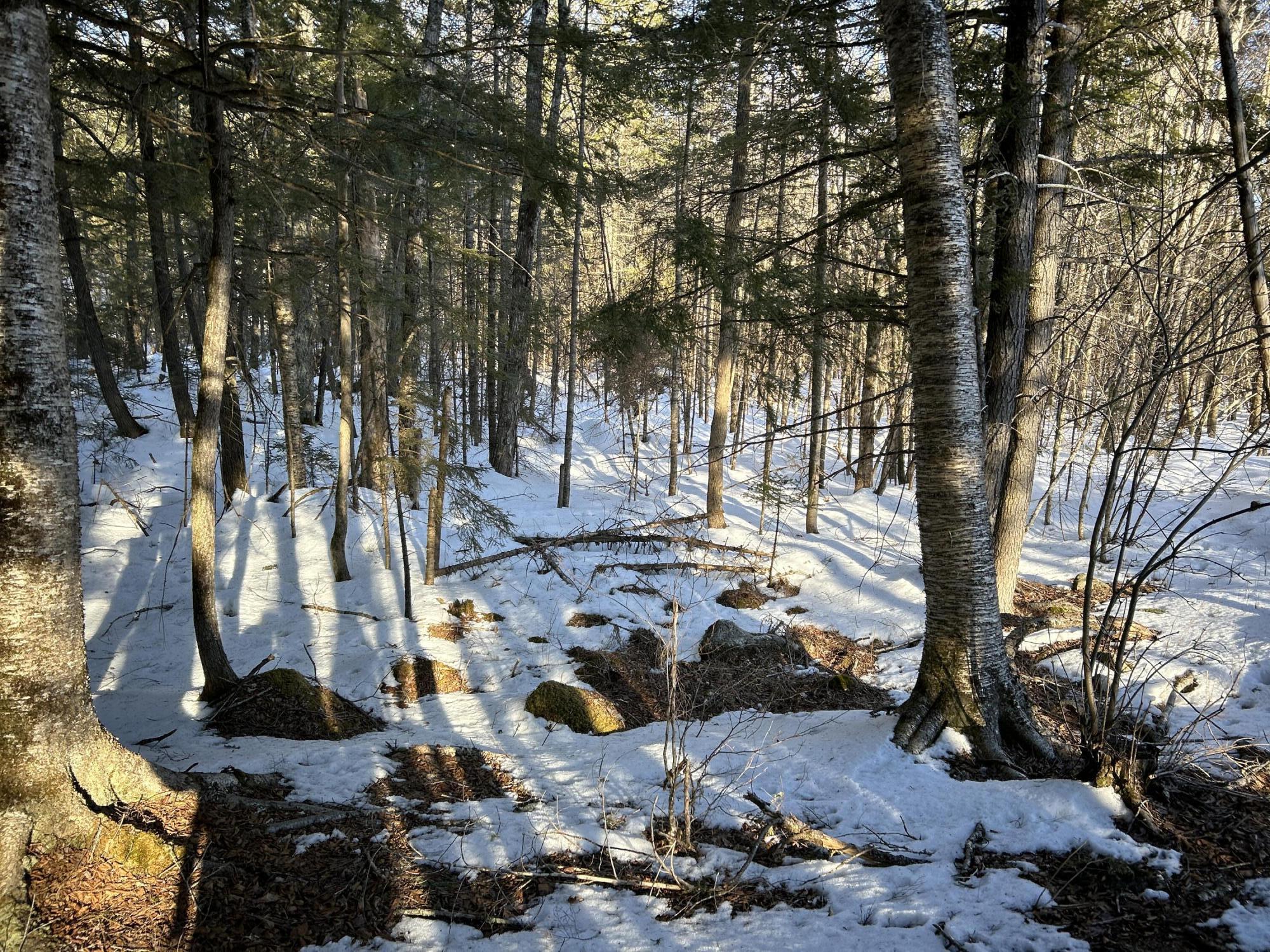 L31 Nelson Ridge Road North Washington, ME 04574 - Photo 16 of 52 45