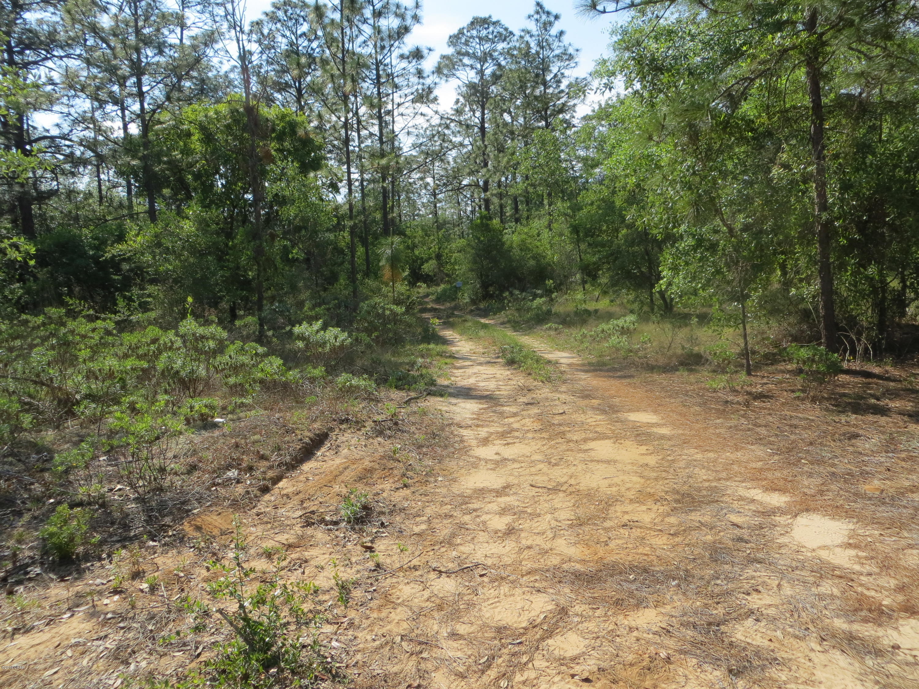 Tbd Holly Hills Road Chipley, FL 32428 - Photo 4 of 9