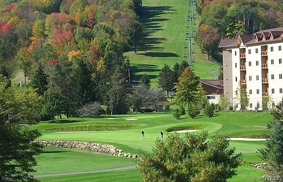 6557 Holiday Valley Road Ellicottville, NY 14731 - Photo 10 of 12