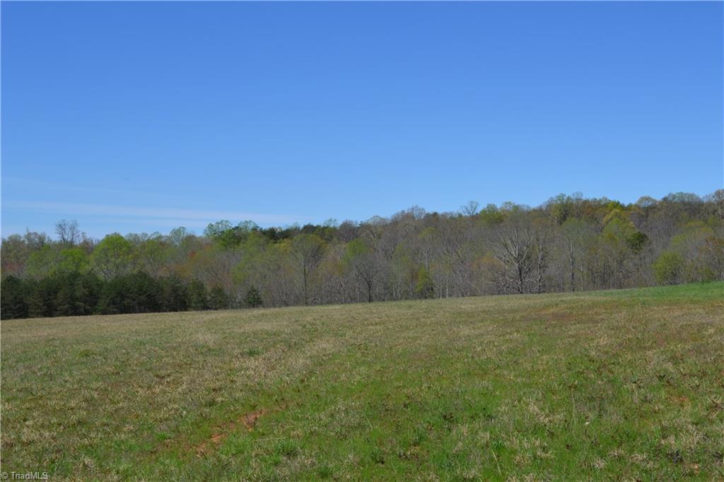 0 Nick Road Mayodan, NC 27027 - Photo 1 of 6