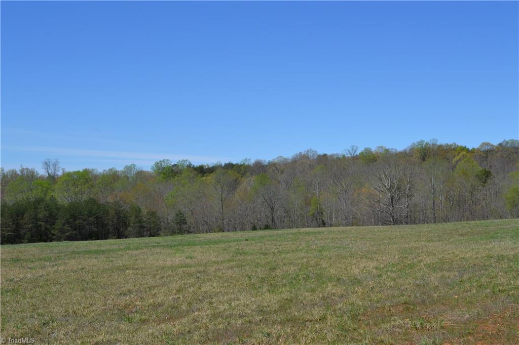 0 Nick Road Mayodan, NC 27027 - Photo 3 of 6