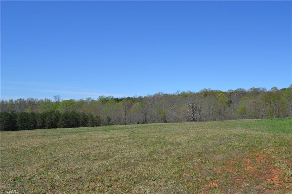 0 Nick Road Mayodan, NC 27027 - Photo 4 of 6