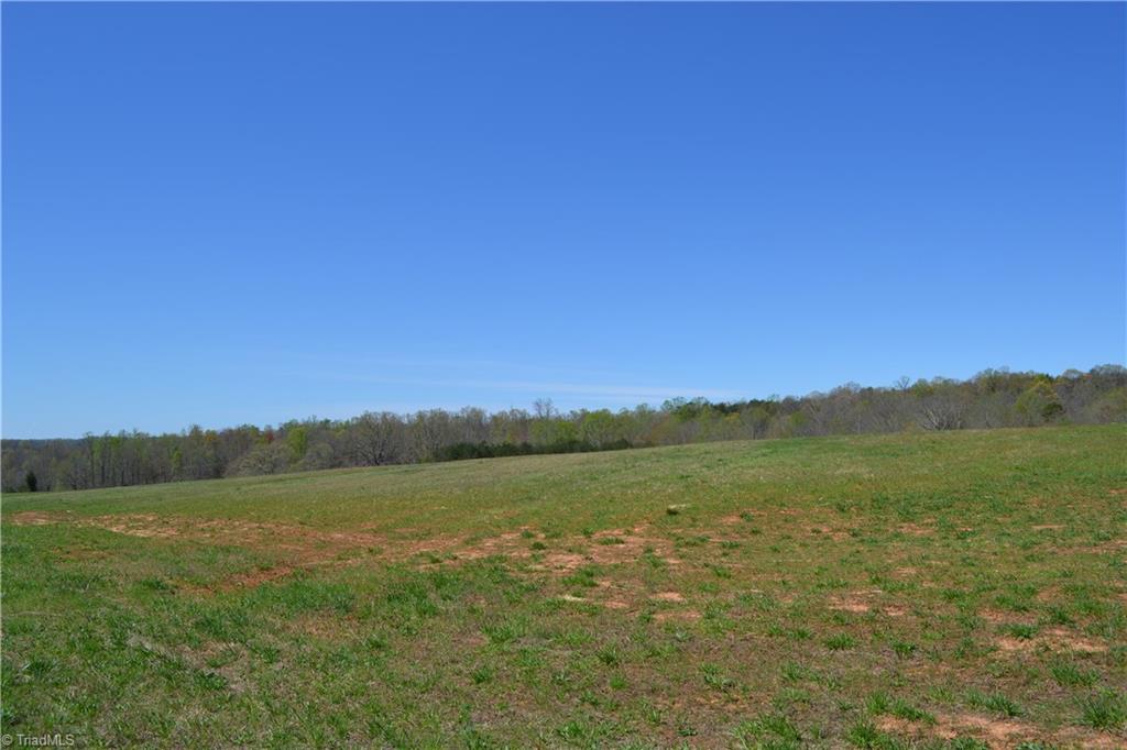 0 Nick Road Mayodan, NC 27027 - Photo 5 of 6