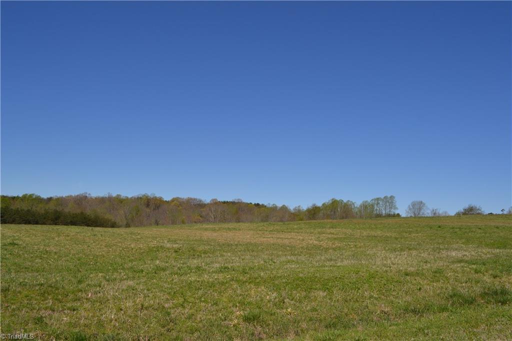 0 Nick Road Mayodan, NC 27027 - Photo 6 of 6