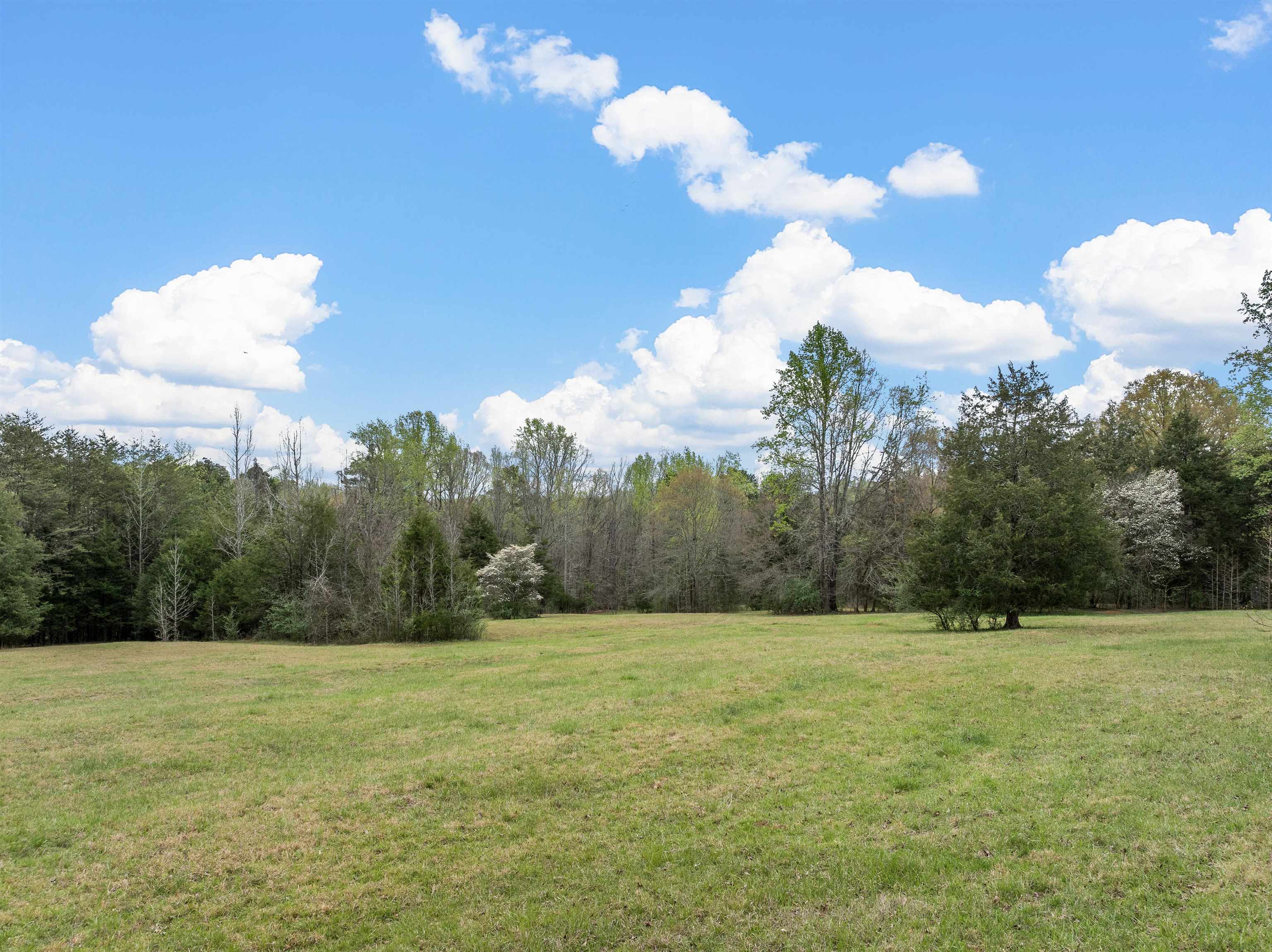 320 Pulpwood Yard Road Jonesville, SC 29353 - Photo 43 of 50