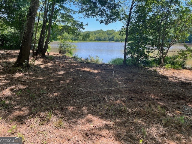 0 Sportsman Club Road Grantville, GA 30220 - Photo 4 of 46 a view of a lake with lots of trees