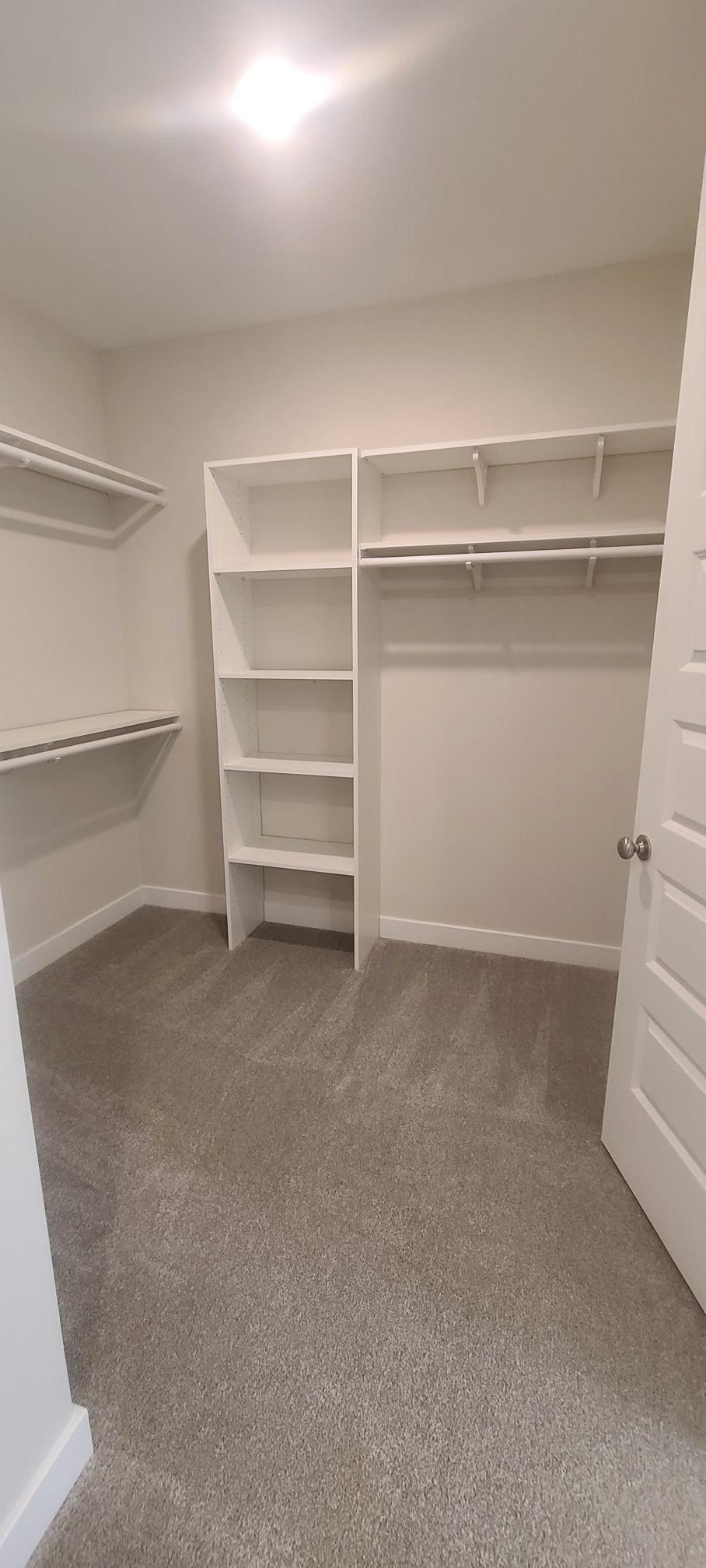 501 Halle Park Drive Collierville, TN 38017 - Photo 21 of 37 a view of an empty walk in closet