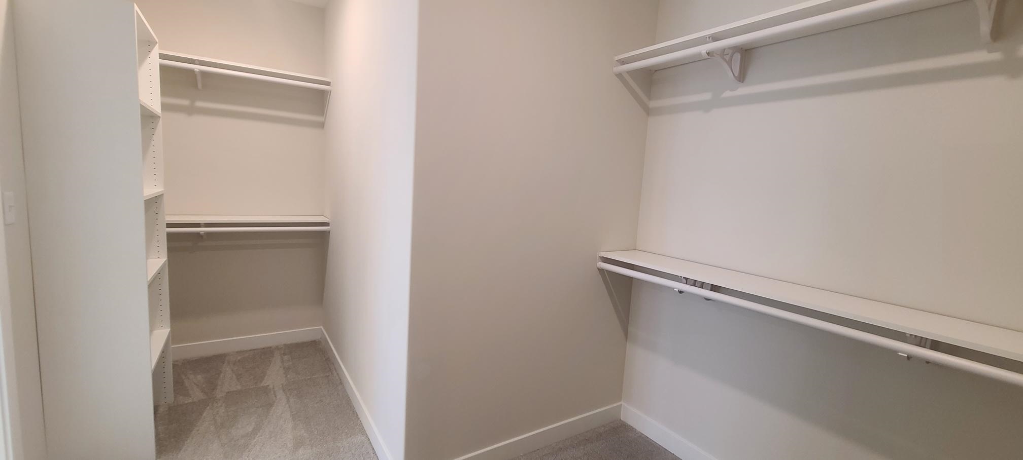 501 Halle Park Drive Collierville, TN 38017 - Photo 22 of 37 a view of closet