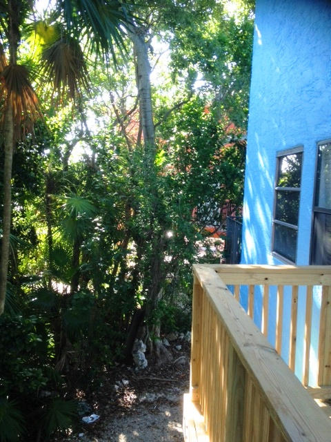 113 Stirrup Key Woods Road, Unit 31 Marathon, FL 33050 - Photo 21 of 26 Tropical Surroundings