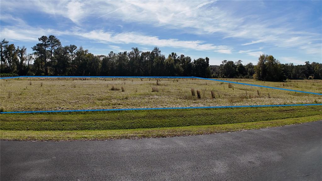 Northwest 54th Loop Ocala, FL 34482 - Photo 2 of 10 a view of a yard