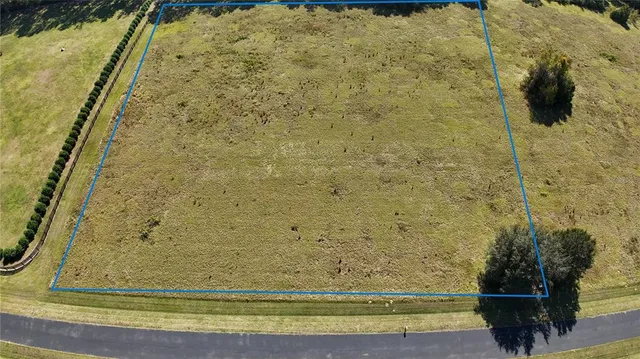 a view of a field with an ocean