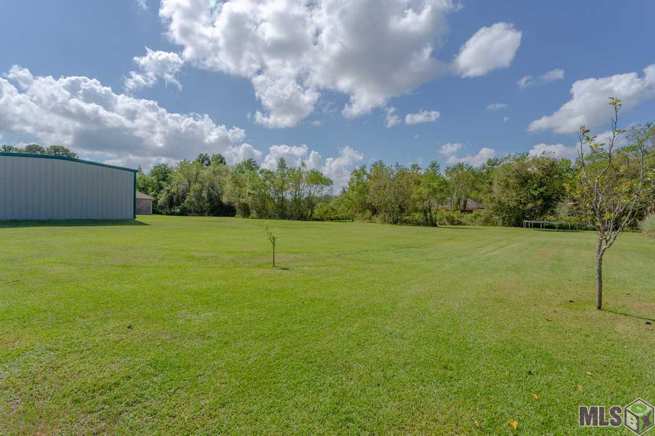 44456 Daniel Guidry Road St. Amant, LA 70774 - Photo 48 of 50 Gallery Image 48