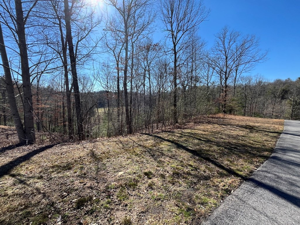 17 Fish Hawk Ridge Murphy, NC 28906 - Photo 3 of 6