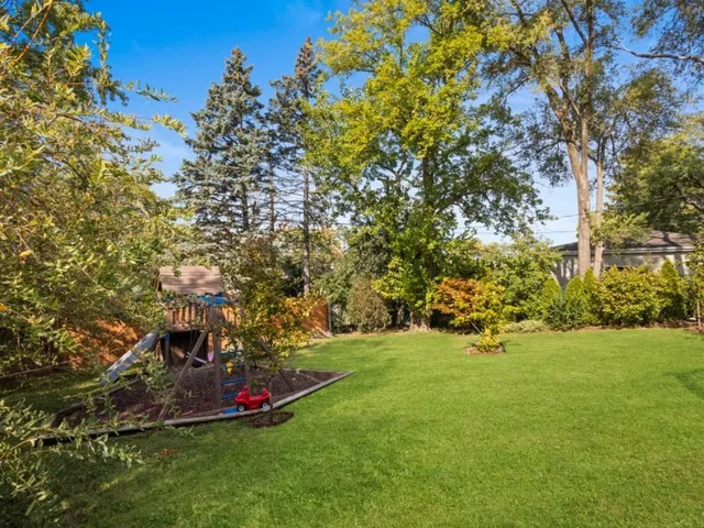 a view of a golf course with a tree