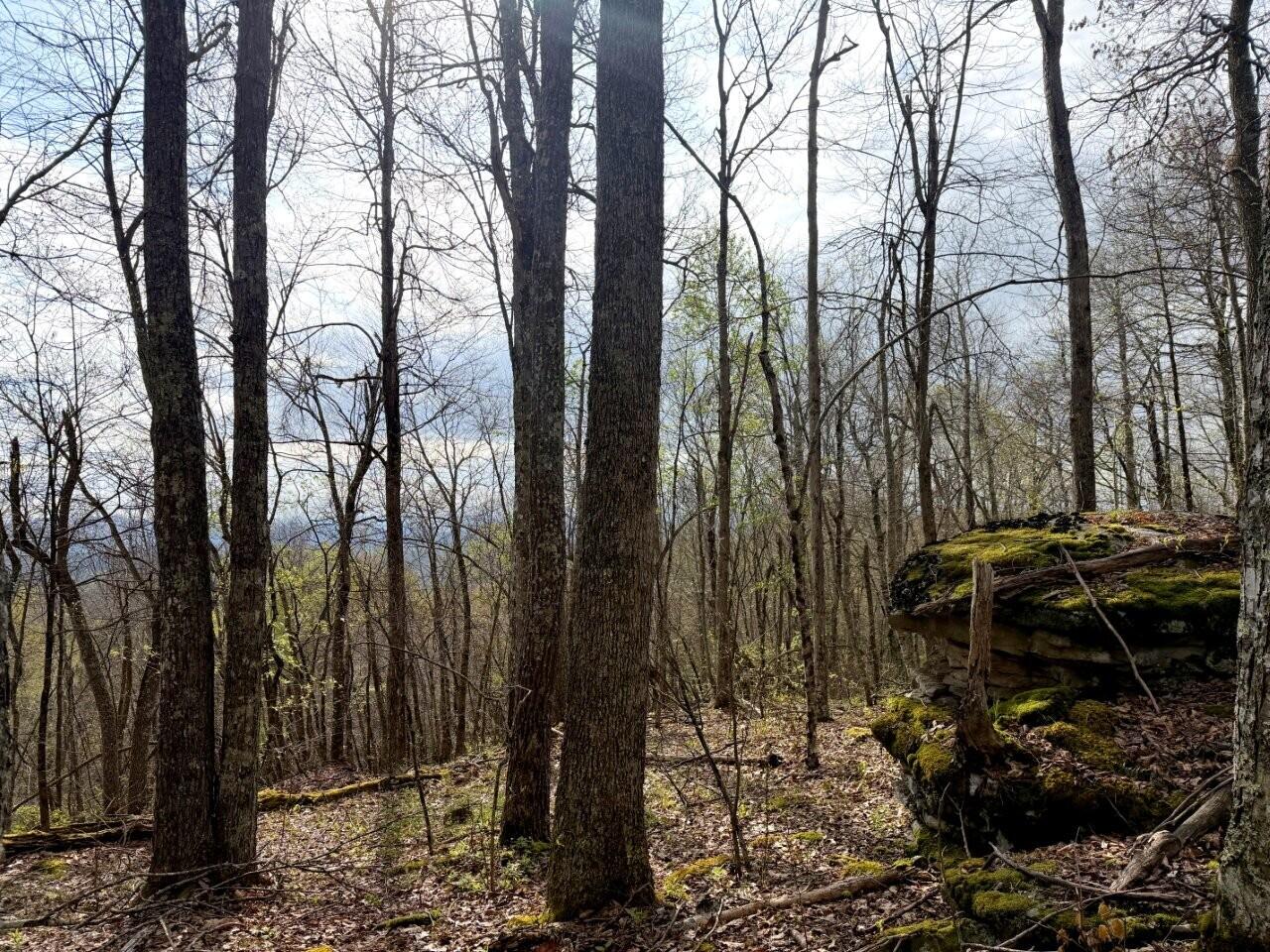 0 Iona Road White Oak, WV 25989 - Photo 56 of 150 Tract-14-IMG_3637